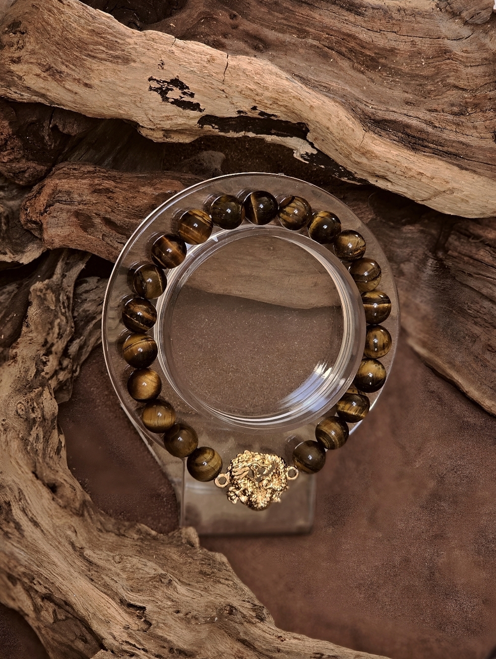 Brown Tiger Eye Beaded Bracelet with Gold Dragon Accent Charm